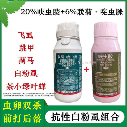 鄄城县呋虫胺联苯菊酯啶虫脒抗性白粉虱飞虱套餐跳甲蓟马绿叶蝉杀虫剂
