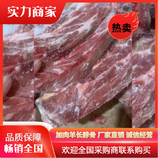 河间市加肉长脖骨  羊蝎子锅 厂家直销