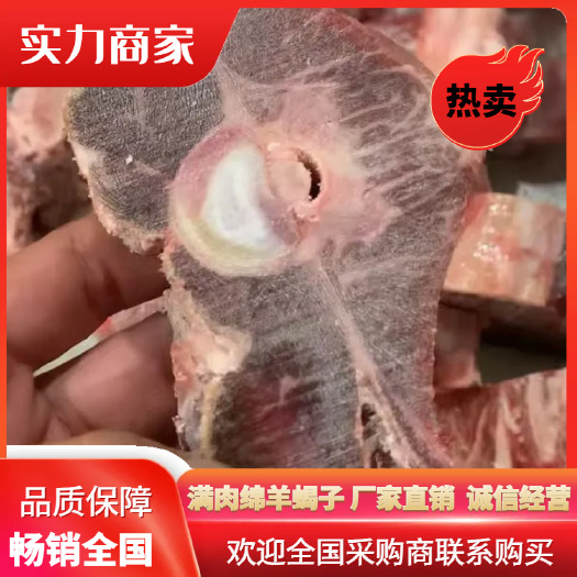 满肉绵羊蝎子 带里外肌肉 不带胯骨 不带尾尖 厂家直销