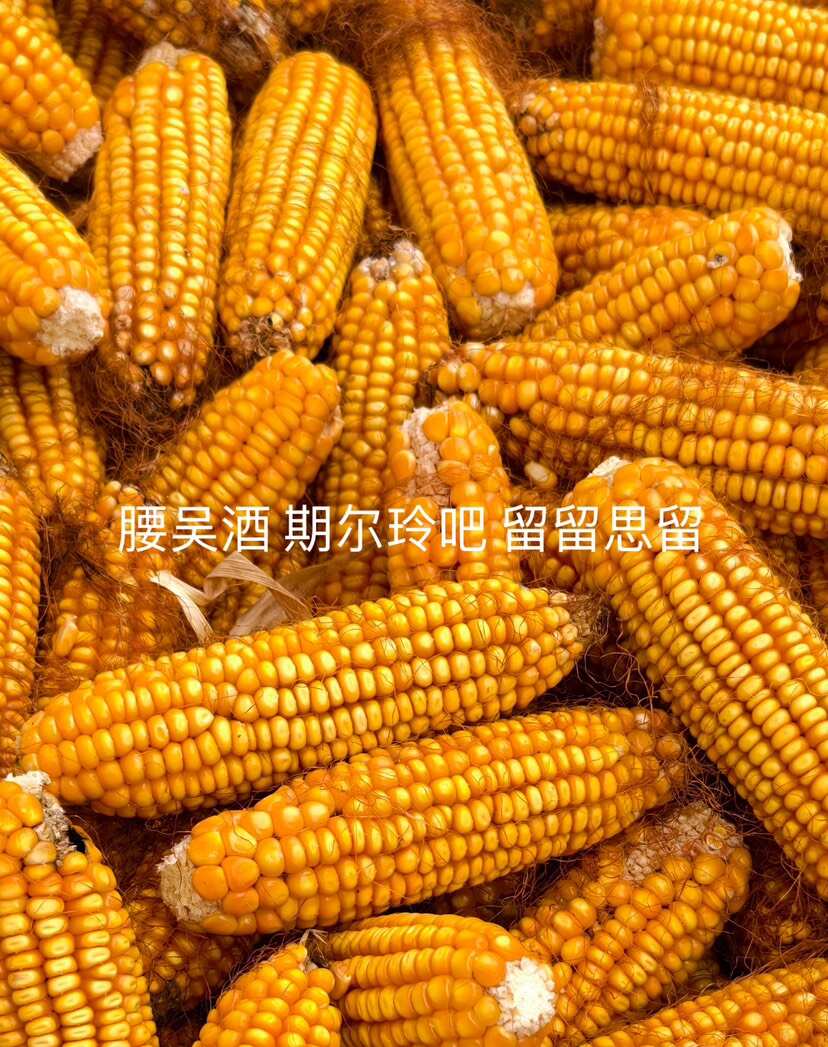 瑞森農(nóng)業(yè)集團(tuán)