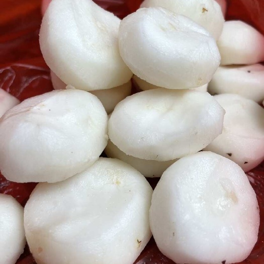 漳州去皮马蹄 当日现削现发够新鲜 真空包装马蹄 源头货源