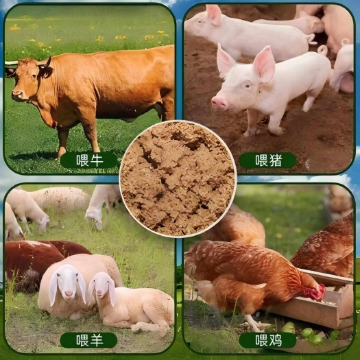 泰兴市鸡鸭鱼蟹牛羊猪饲料供应批发