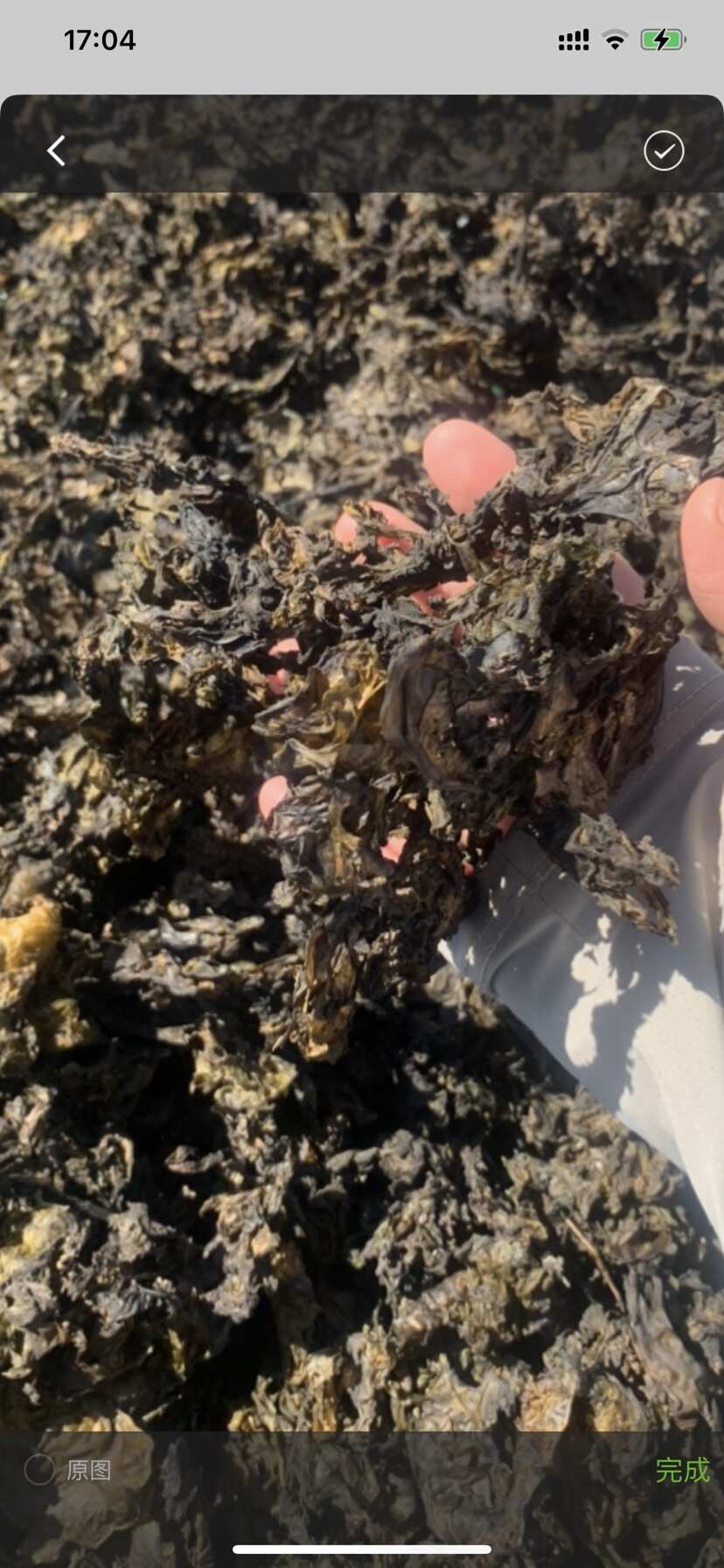 地皮珍味閣