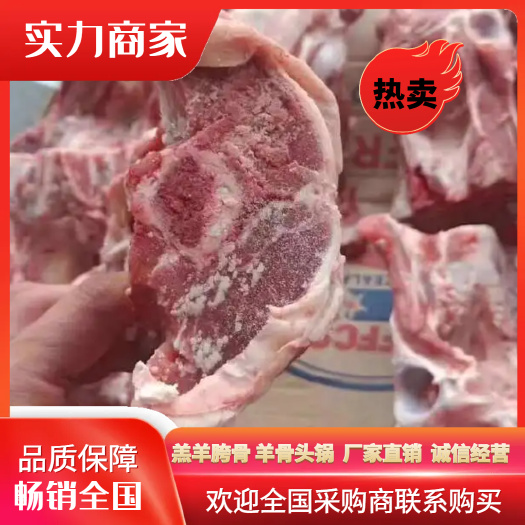 河间市羔羊胯骨 羊骨头锅 厂家直销