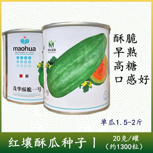 菏泽酥脆一号菜瓜种子 牛角型 果皮青绿 甜脆多汁 酥脆爽口