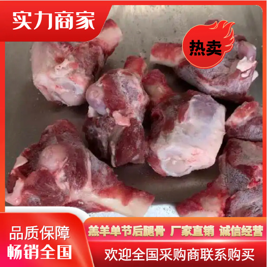 河间市河北沧州河间市 羔羊单节后腿骨 厂家直销