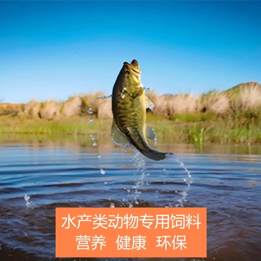 泰兴市水产养殖动物专用饲料产品批发