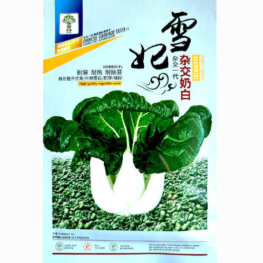 寿光市杂交奶白菜种子 矮脚 耐寒 耐热耐抽苔 四季种植