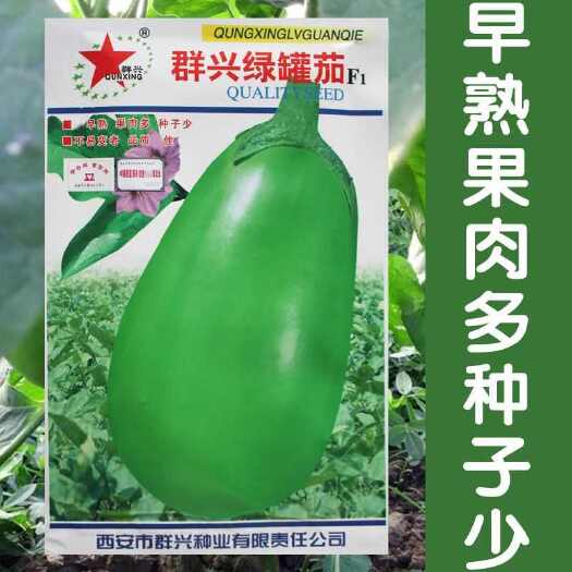 群兴绿罐茄种子 早熟 果色深绿 果肉多 耐老化
