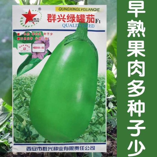 建瓯市群兴绿罐茄种子 早熟 果色深绿 果肉多 耐老化