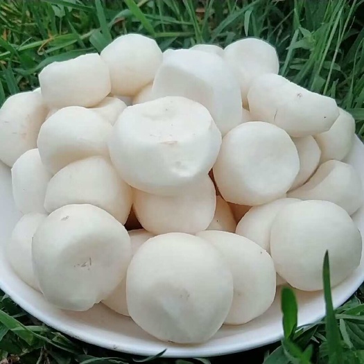去皮马蹄 不泡水 现削马蹄 清脆甜口 真空包装 现挖现发
