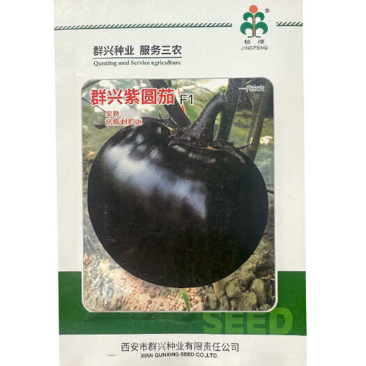 群兴紫圆茄种子 早熟抗病 果大肉多 紫黑圆果 耐寒耐热