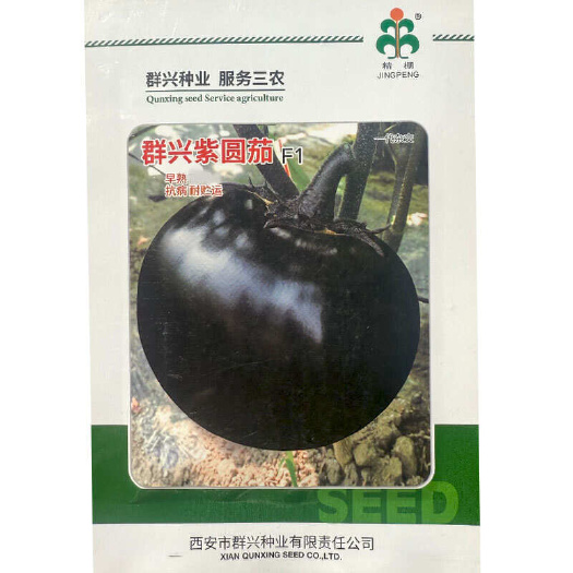 建瓯市群兴紫圆茄种子 早熟抗病 果大肉多 紫黑圆果 耐寒耐热
