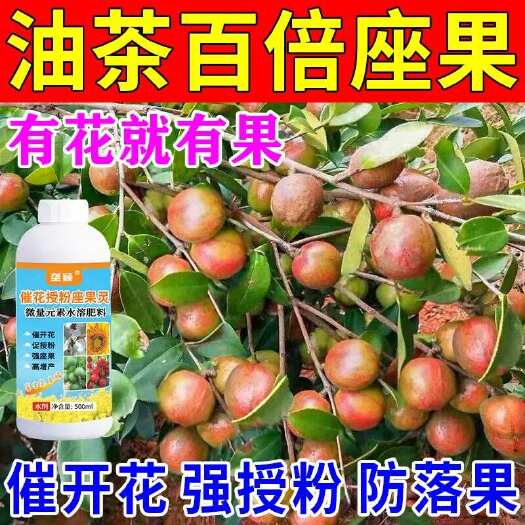 油茶授粉座果灵油茶树保花保果药油茶保果素油茶增产肥沾花防落素
