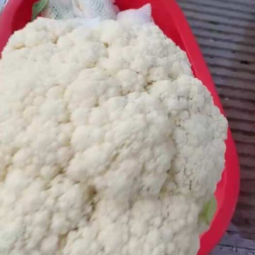 菏泽花菜