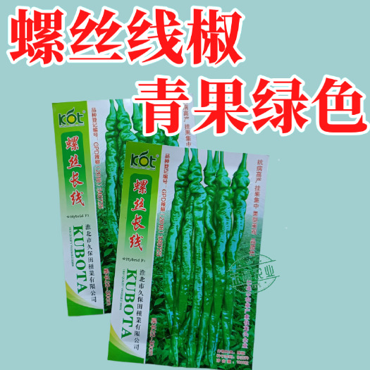 武汉久保田螺丝长线辣椒种子薄皮线椒高产抗病二荆条皱皮螺丝辣椒种籽