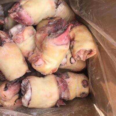 汕头【定制规格】新鲜牛蹄 牛脚蹄 牛脚掌屠 宰场直出