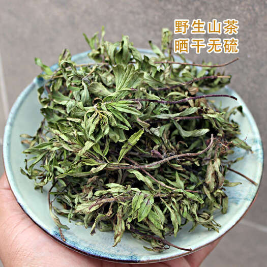 长沙云南野生小山茶建水烧开茶水火锅烧烤凉茶