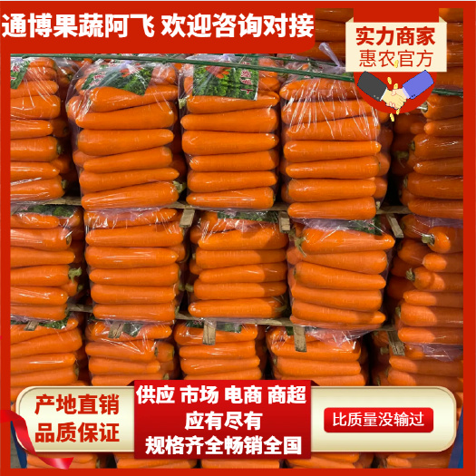 厦门三红胡萝卜新鲜出土厦门翔安区优质根茎菜品直供