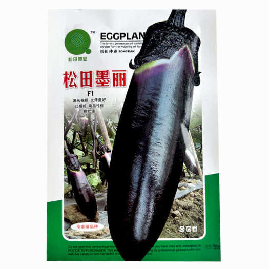 烧烤茄种子 松田墨丽 肉质细腻春秋大棚露地种植