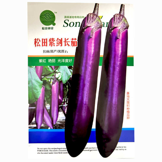 紫剑长茄种子 耐高温 紫红色 早熟烧烤基地大面积种植