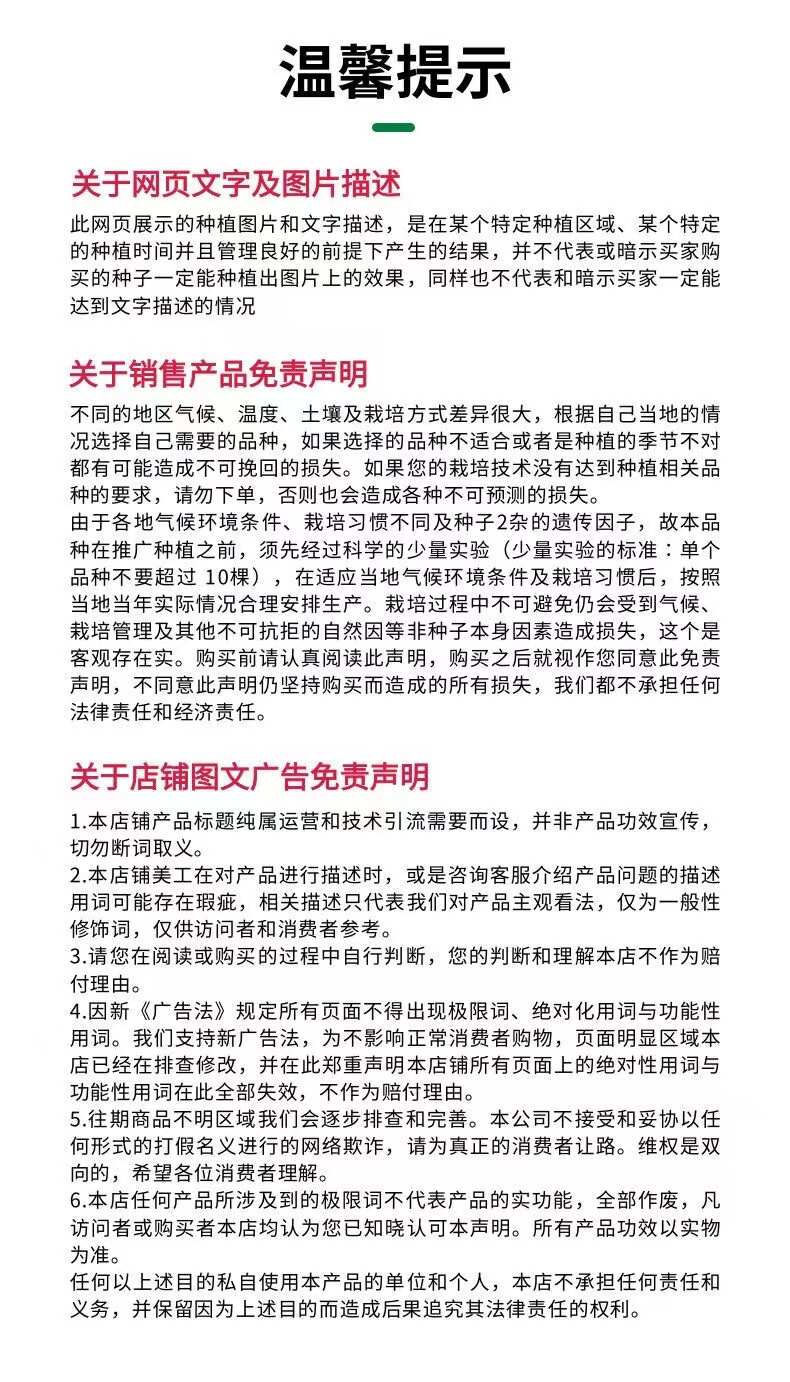 短棒油亮丝瓜种子 白籽绿皮  杂交早熟 抗病 肉质好