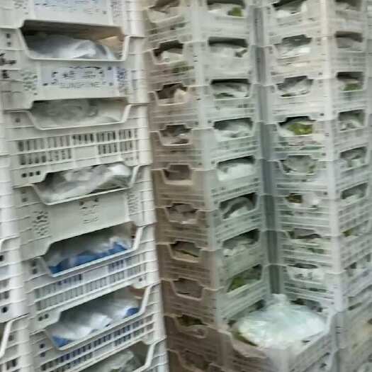 嘉兴阳光玫瑰葡萄 浙江嘉兴直发 甜脆新鲜 品质保证
