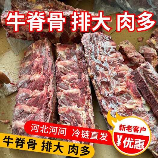 河间市牛脊骨 排大 肉多 河北河间 冷链直发 全国发货