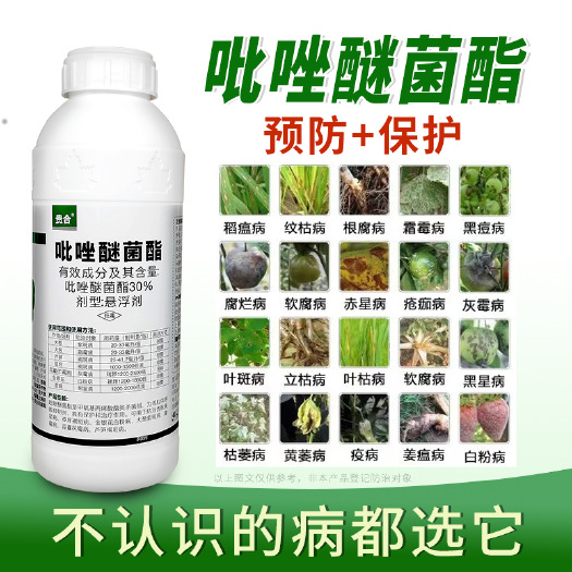 【亏本冲量】吡唑醚菌酯果树蔬菜黄瓜黑星病炭疽病叶斑病广谱杀菌