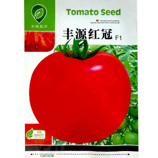 丰源红冠番茄种子 大红西红柿种子 无绿肩 抗TY病毒