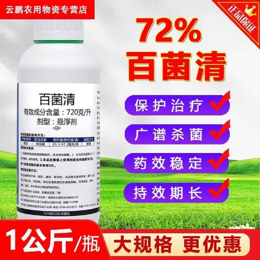 高浓度72%百菌清悬浮剂粘稠加强型黄瓜蔬菜霜霉病农药杀菌剂批