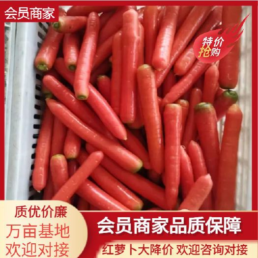 陕西渭南大荔县秤杆红萝卜 整车水洗可选 每根15cm以上