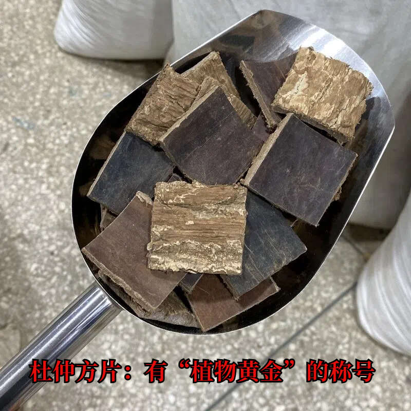 杜仲 新货杜仲  杜仲方片 一手货源可供大货