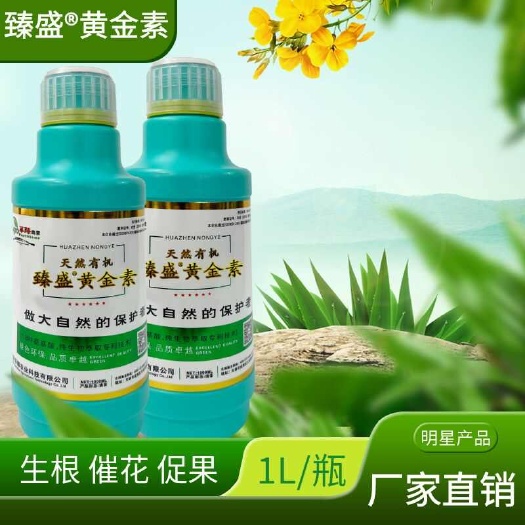 天津臻盛黄金素含天然植物活性酶天然开根素天18种天然植物氨基酸