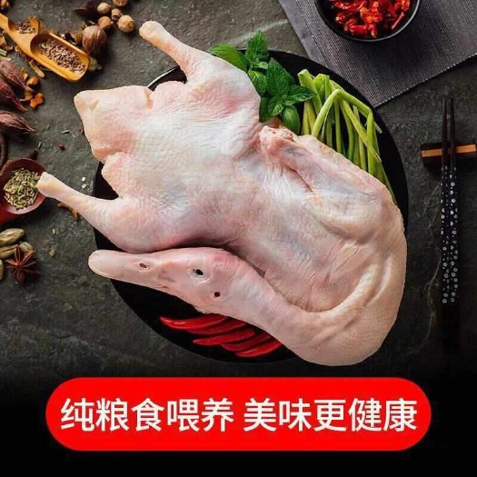 【顺丰包邮】新鲜现杀全仔鸭带鸭掌鸭翅可一件代发