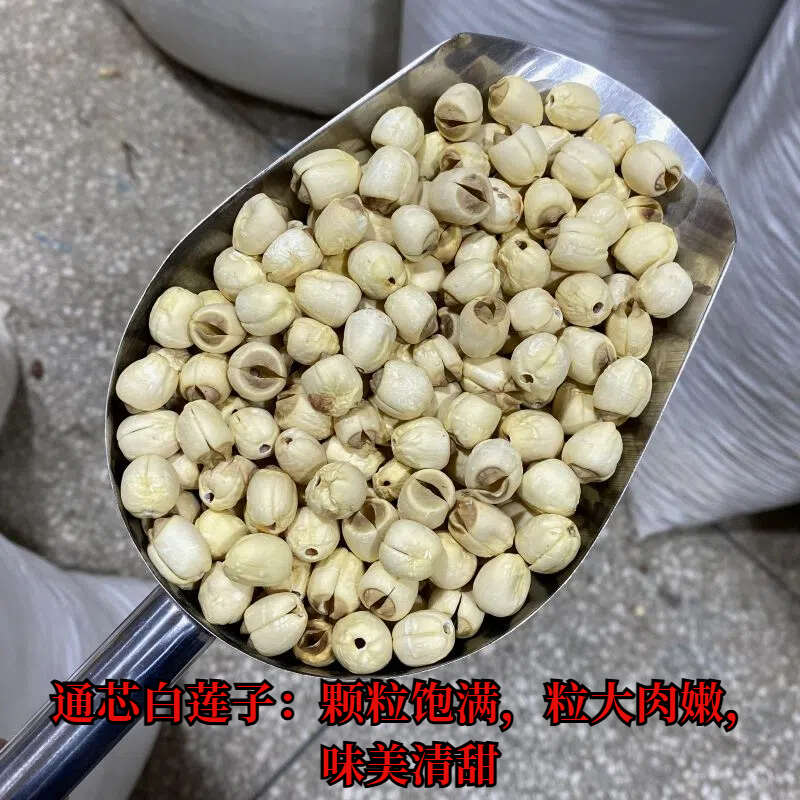 莲子 白莲子莲子芯红莲子精选优质磨莲去芯莲子