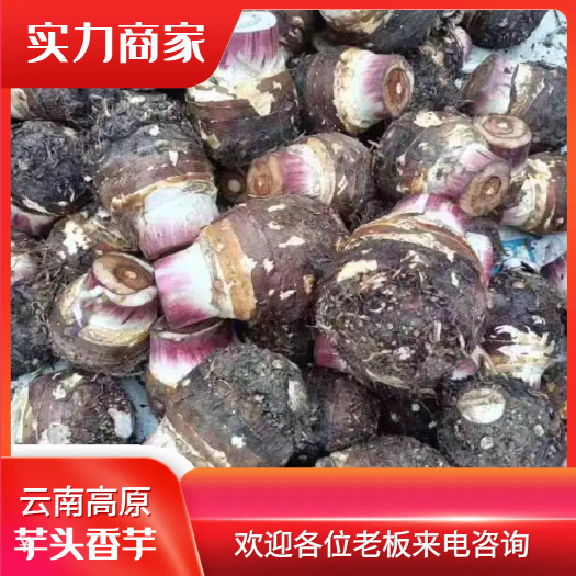 云南高原芋头现挖现发产地直销
