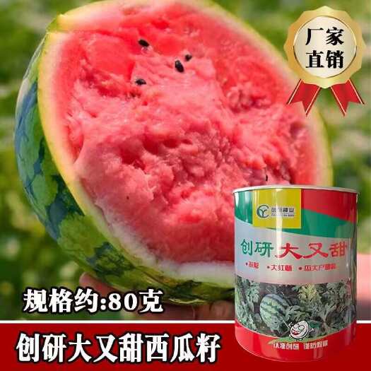 创研大又甜西瓜种子 冰糖麒麟西瓜种子 抗裂大红瓤