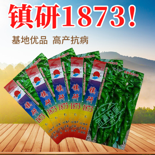 武汉畅销全螺形螺丝椒种子抗逆抗病性强香辣高产辣椒种籽早春种植越冬
