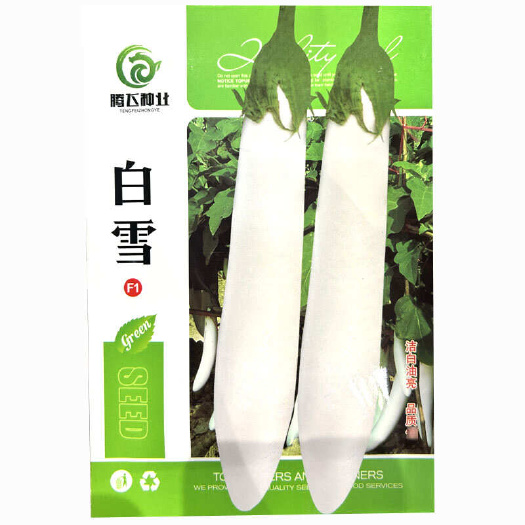 寿光市白玉白茄种子 早熟 白雪长茄子果型均匀皮白亮基地