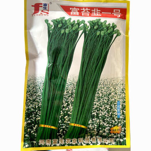 济南四季韭苔种苔韭种子 叶苔两用型韭菜苔种籽 耐寒耐病