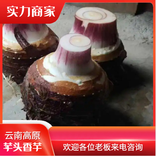 云南芋头产地直销，量大从优