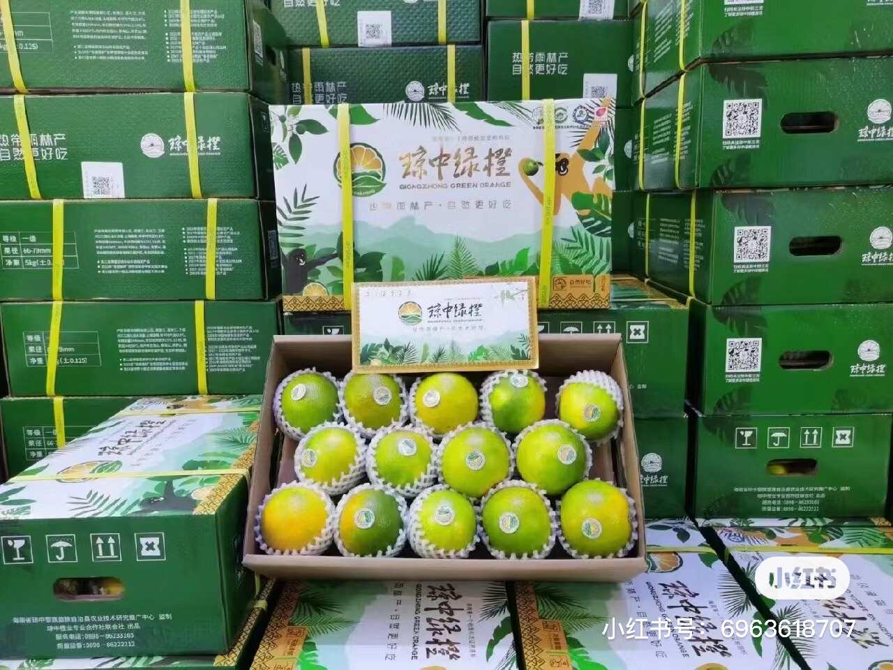 海南琼中绿橙一件代发产地直发一手货源对接各大电商平台