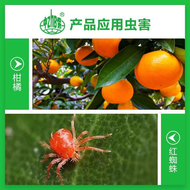 沪联速满锉22%阿维菌素螺螨酯柑橘红蜘蛛农药专用杀螨正品杀虫
