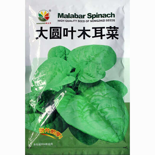 寿光市木耳菜种子大叶 片肥厚 耐高温耐湿 四季基地种植