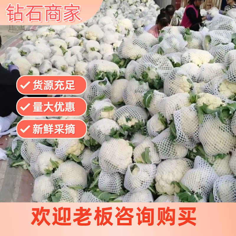 通许县新鲜河南花菜来自通许县优质蔬菜基地直供