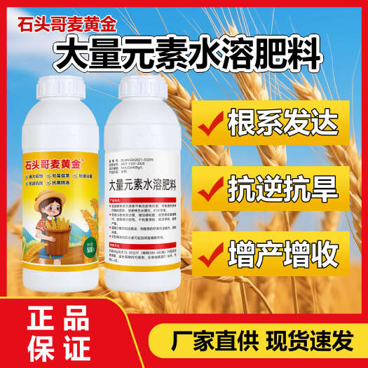 宁陵县麦黄金小麦高产叶面肥专用肥料复合肥防冻小麦拌种剂水溶肥