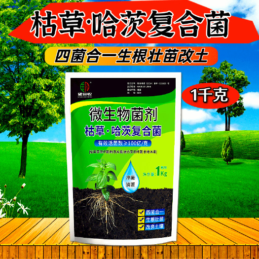 潍坊枯草芽孢杆菌哈茨木霉复合菌生根防病改土微生物菌剂
