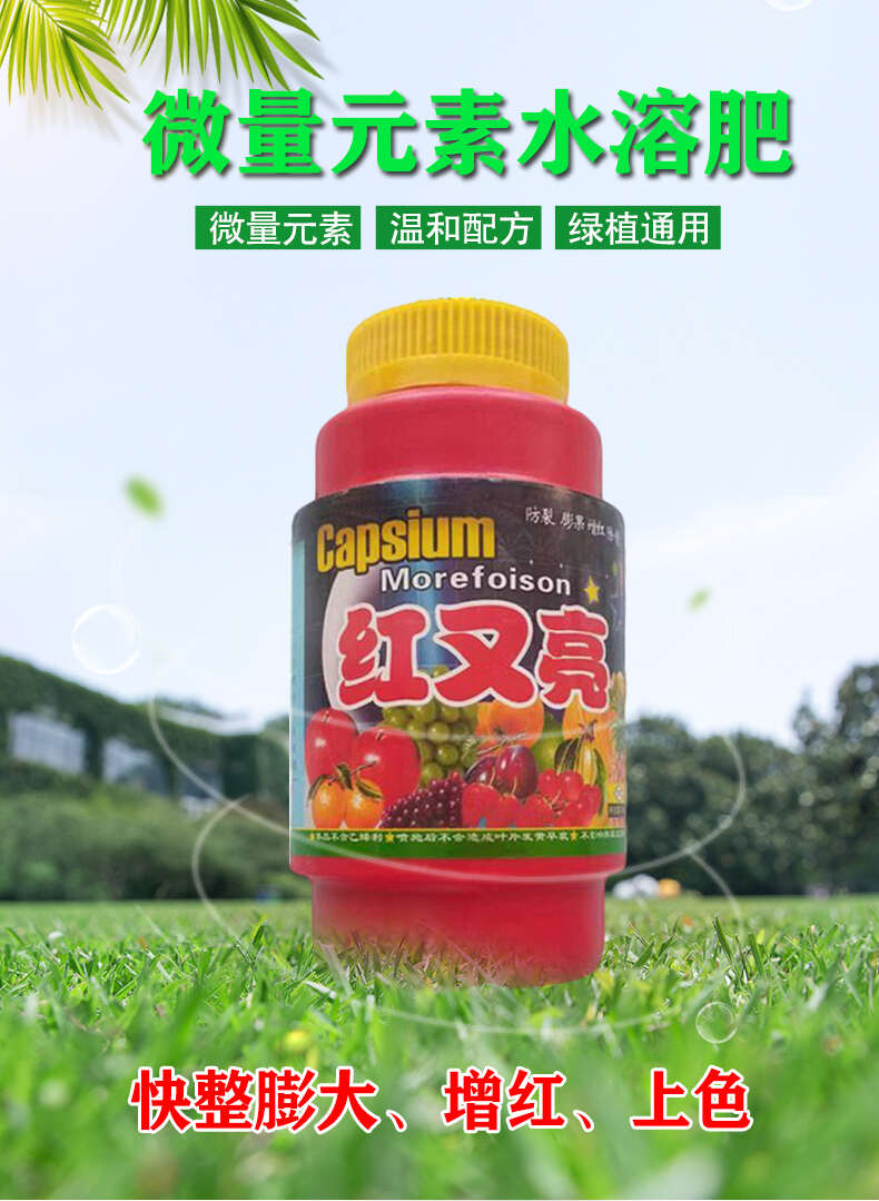 红又亮催红剂苹果葡萄草莓枣辣椒芒果专用膨大增甜靓果微量元素