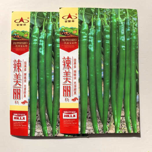 辣美丽长线椒种子  挂果多 辣味浓 光滑顺直 干鲜两用